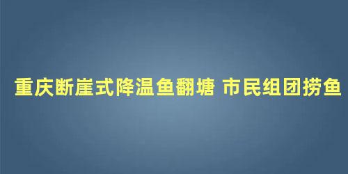 重庆断崖式降温鱼翻塘 市民组团捞鱼